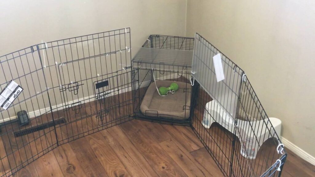 Puppy Play Pen set up with X-pen area