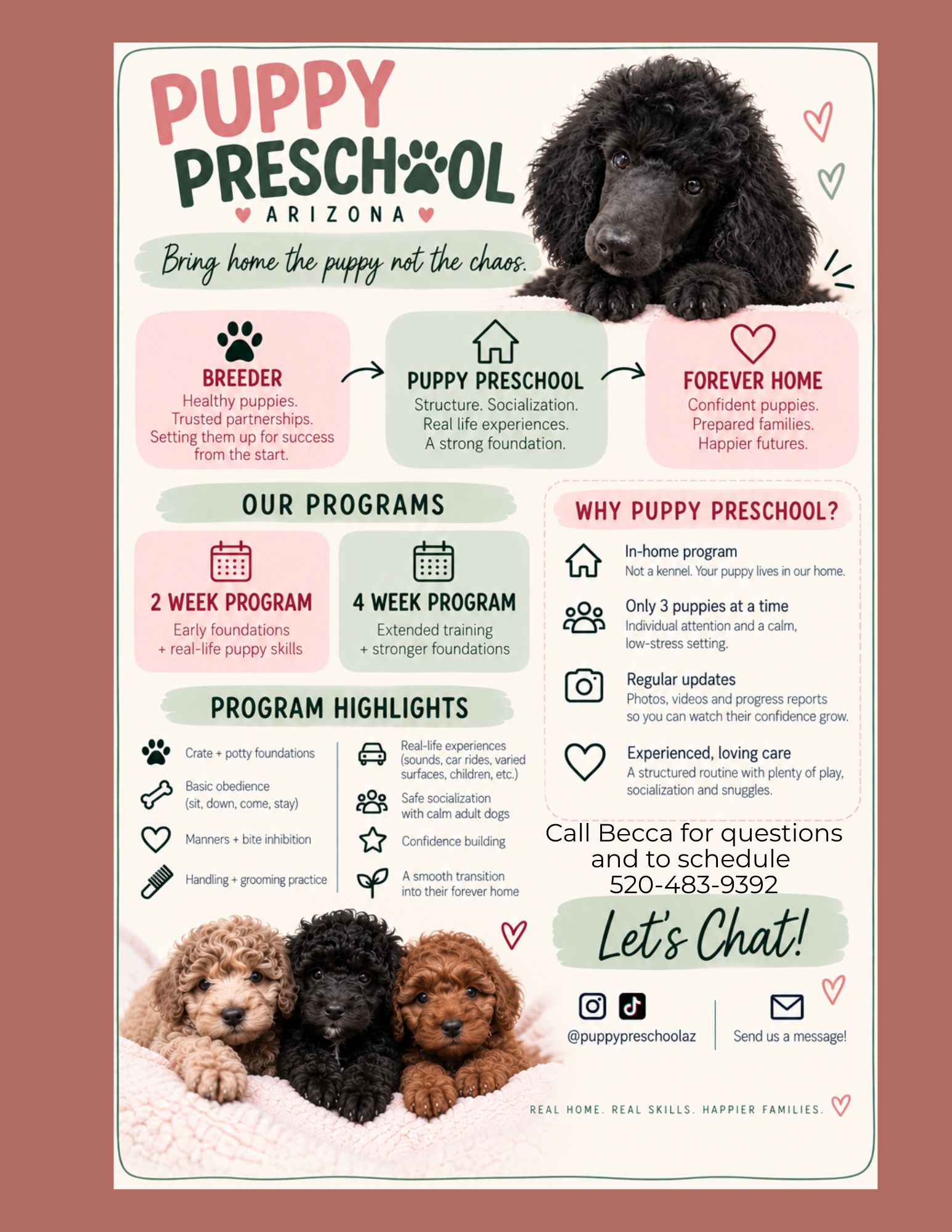 Early Puppy Learning Arizona Puppy Trainer